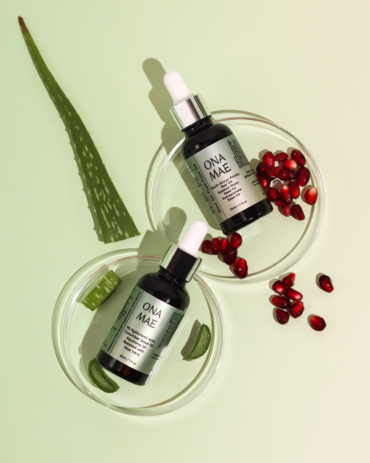 Two ONA MAE skincare dropper bottles arranged in clear glass dishes with aloe vera slices and pomegranate seeds on a pale mint green background.